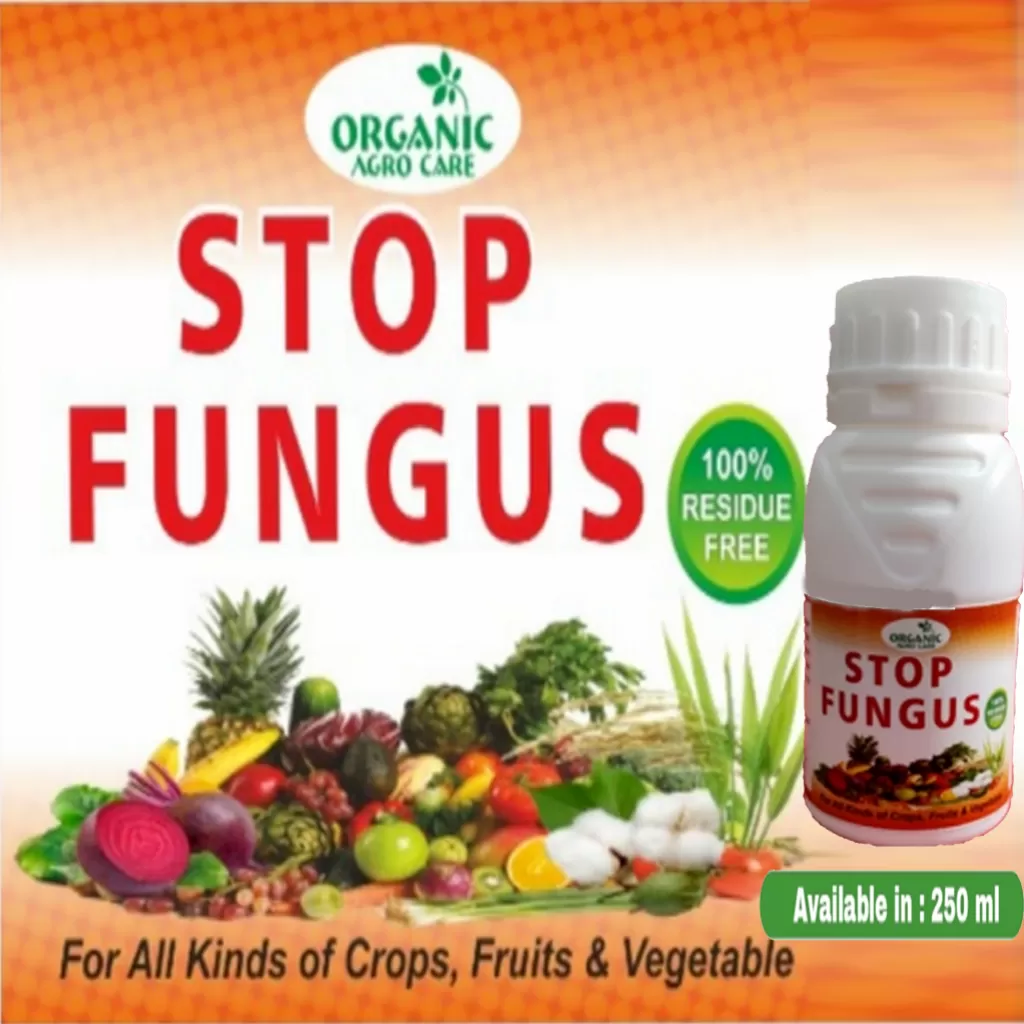 STOP FUNGUS